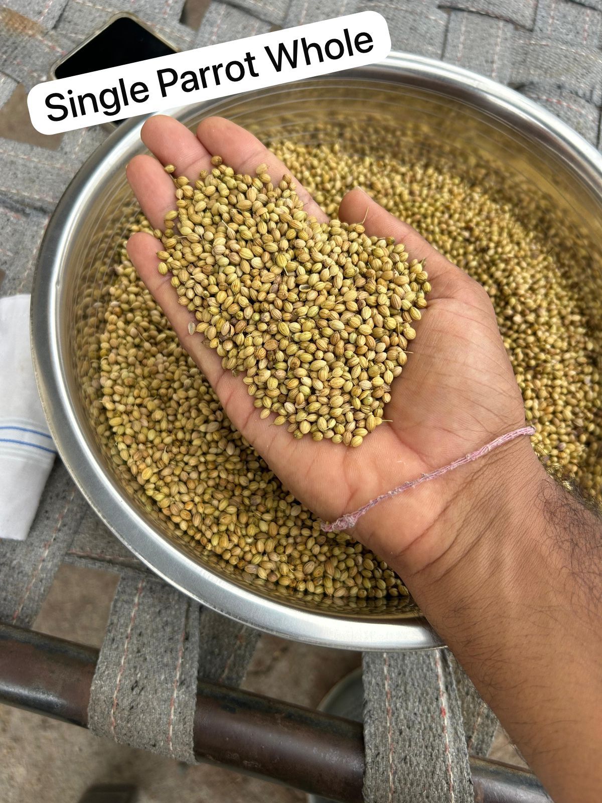 Coriander Seeds