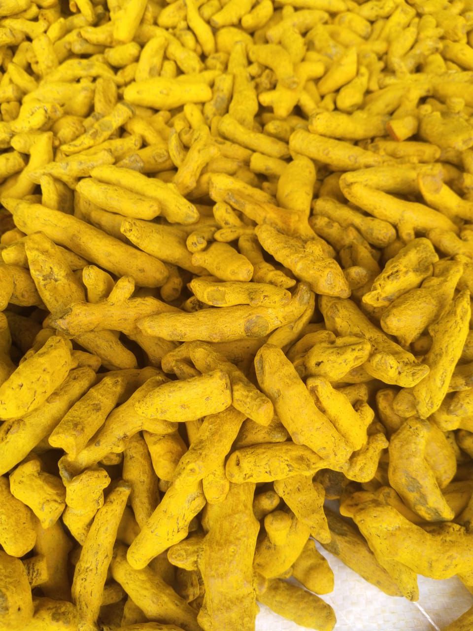 Fresh Turmeric Finger