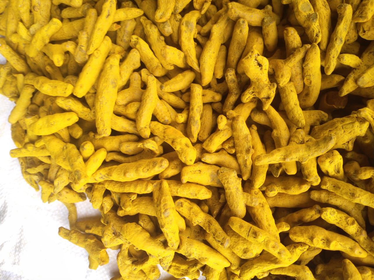 Turmeric Finger