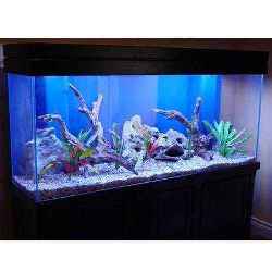 fish aquarium accessories in bangalore The Woody-like Sculpture Amazonia Aquatics in HBR Layout,Bangalore