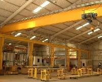 Single / Double Girder Eot Crane Manufacture In Delhi