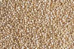 Indian Organic Red Quinoa Seeds