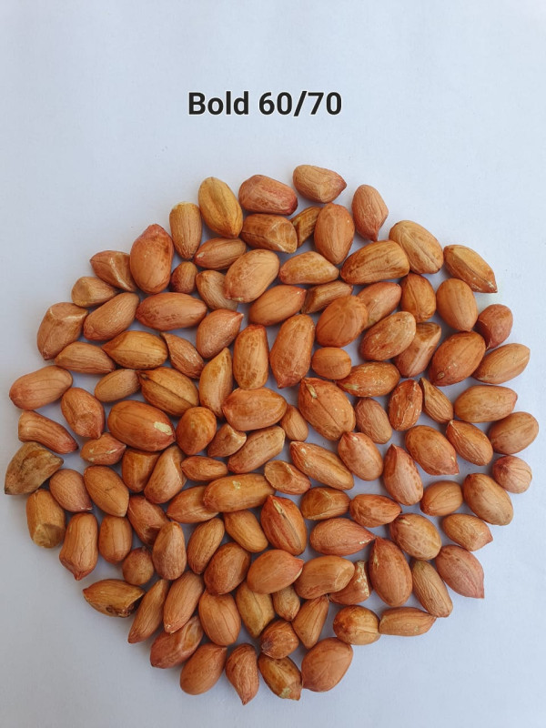 60-70 Bold Peanut