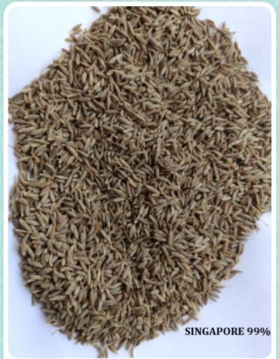 Cumin Seed