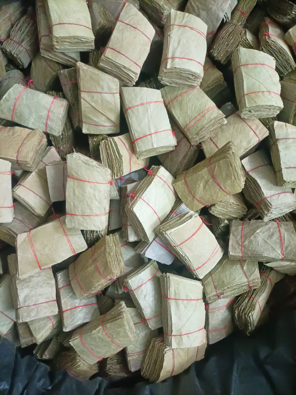 Cutting Beedi Leaf