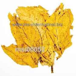 is there tobacco in velo pouches Velo Plus Nicotine Pouches Wintergreen | Tobacco Free