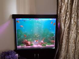 Buy Transparent Glass Aquarium Fish Tank at Wholesale Price in