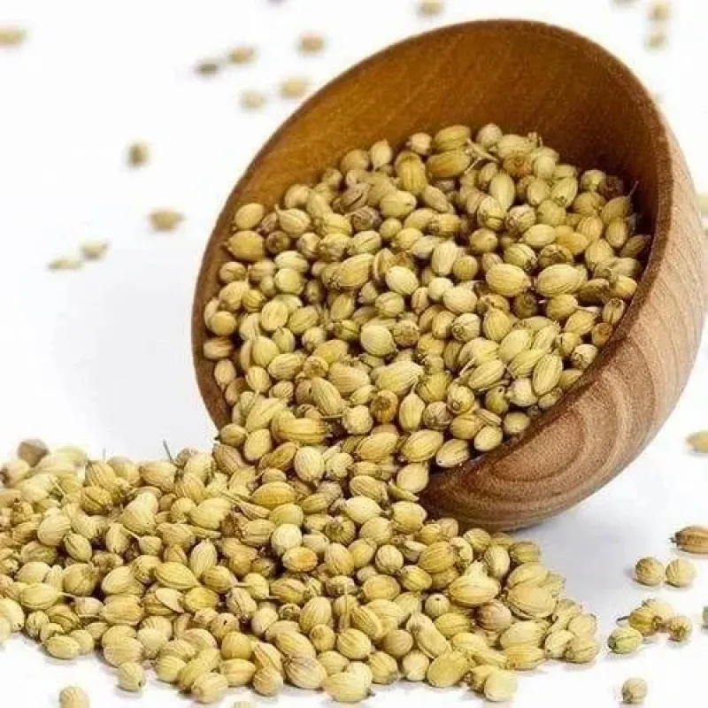 Natural Whole Coriander Seeds