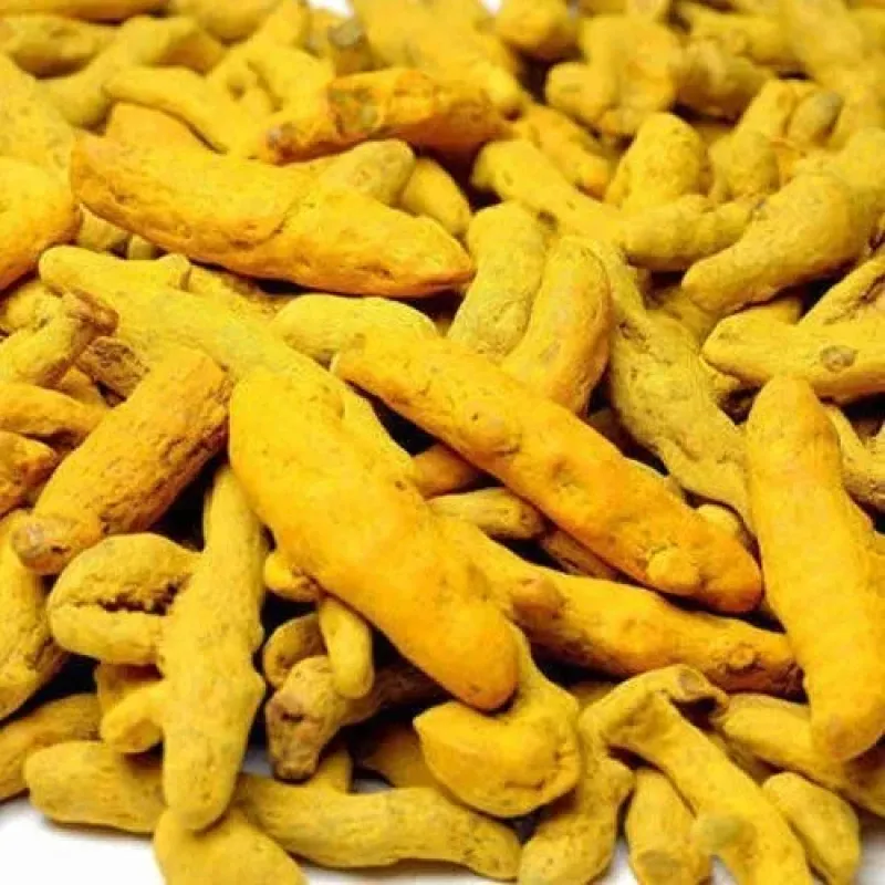 Premium Dry Turmeric Finger