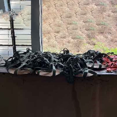 Lifting Belts
