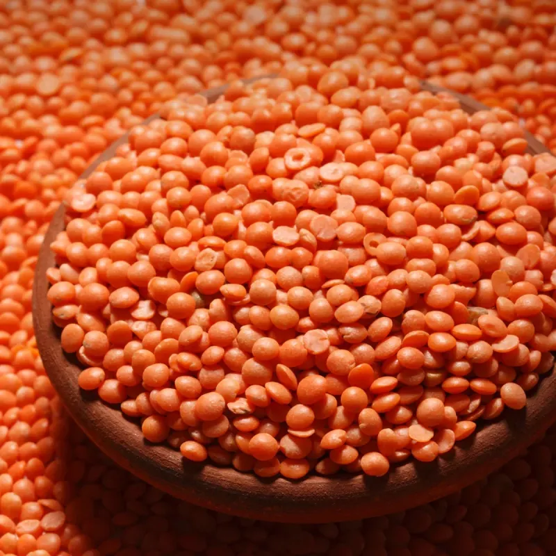 Red Masoor Dal