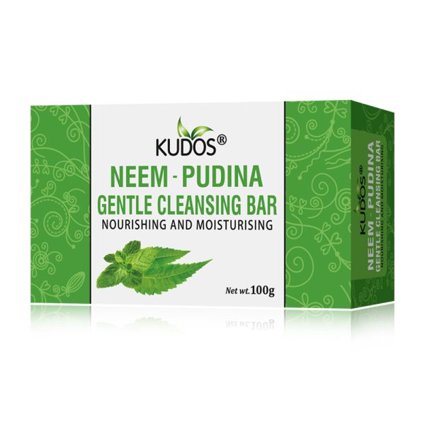 Neem Pudina Soap