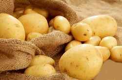 Hybrid Vegetable Seeds - Unnat India