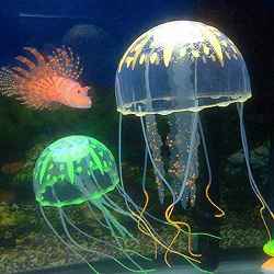 fish aquarium accessories mumbai Buy Aquarium Accessories at Wholesale Price in Mumbai