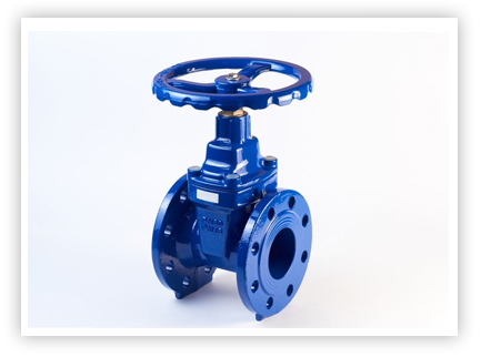 Gate and Globe Valve