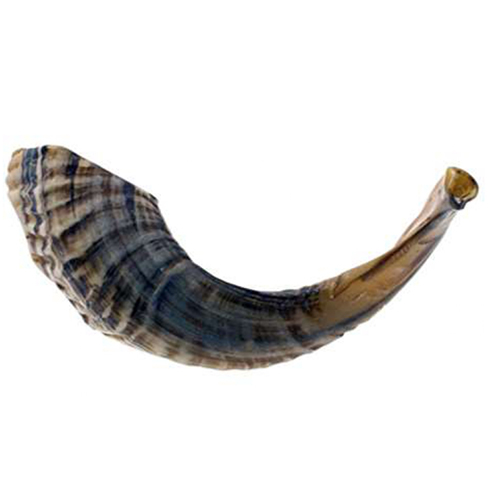 RAM Blowing Horn