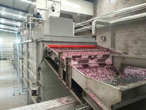 Onion Dehydration Plant