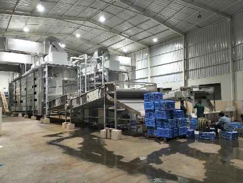 Vegetable Dehydration Plant
