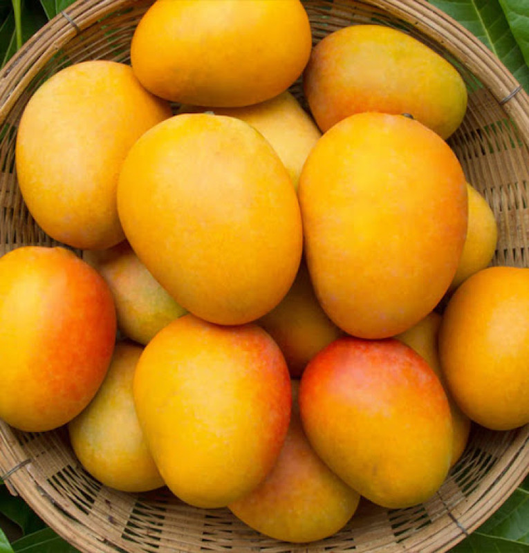 Fruits