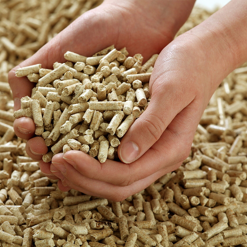 Biomass Wood Pallet