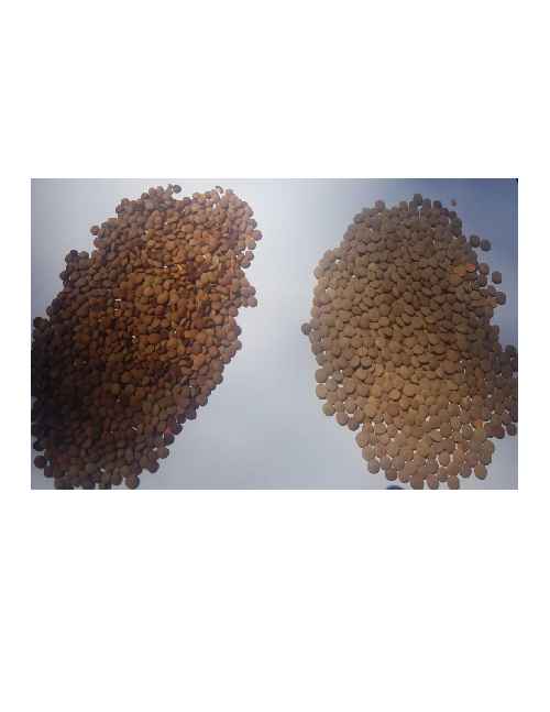 Pulses