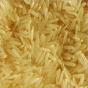 PR 11/14 Golden Sella Basmati Rice