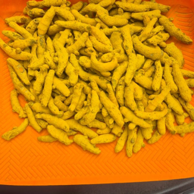 Super Salem Turmeric Finger