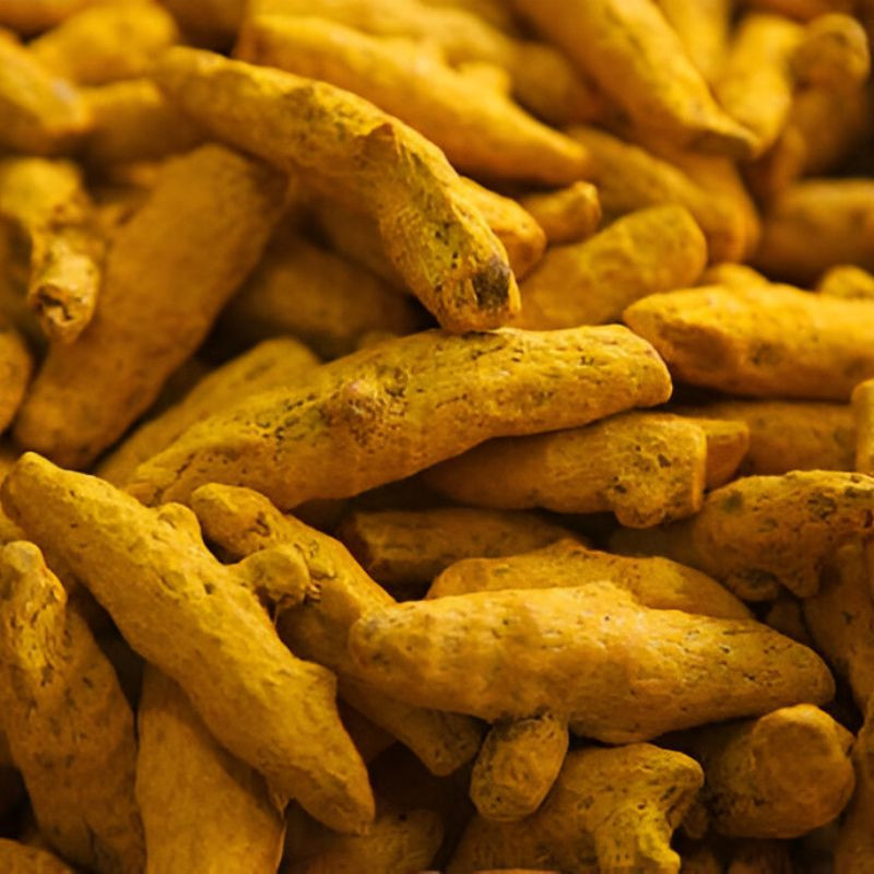 Turmeric Finger