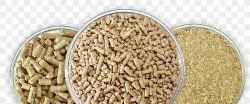 Yellow Maize (animal Feed) - Royal Agro Industries