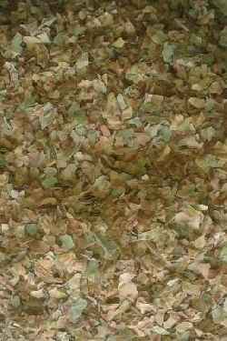 tobacco mild green mosaic virus Tobacco mild green mosaic virus found naturally infecting Nicotiana glauca  in Brazil | Australasian Plant Disease Notes