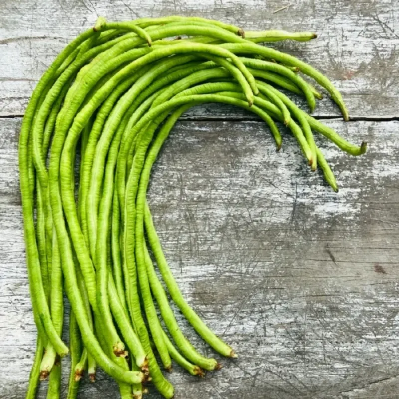 String Beans (Green Choliya)