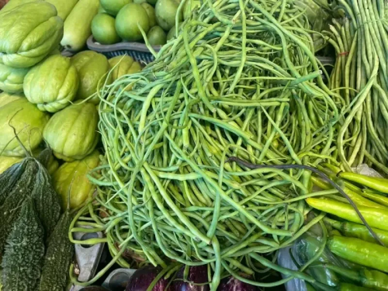 Violet Beans (Mogri)