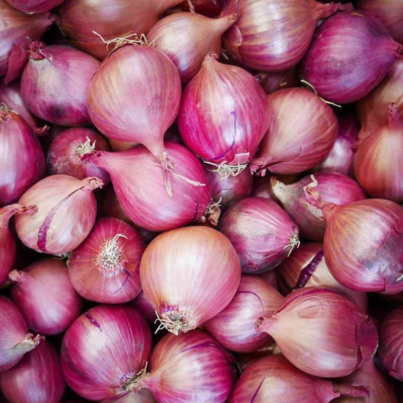 Onion