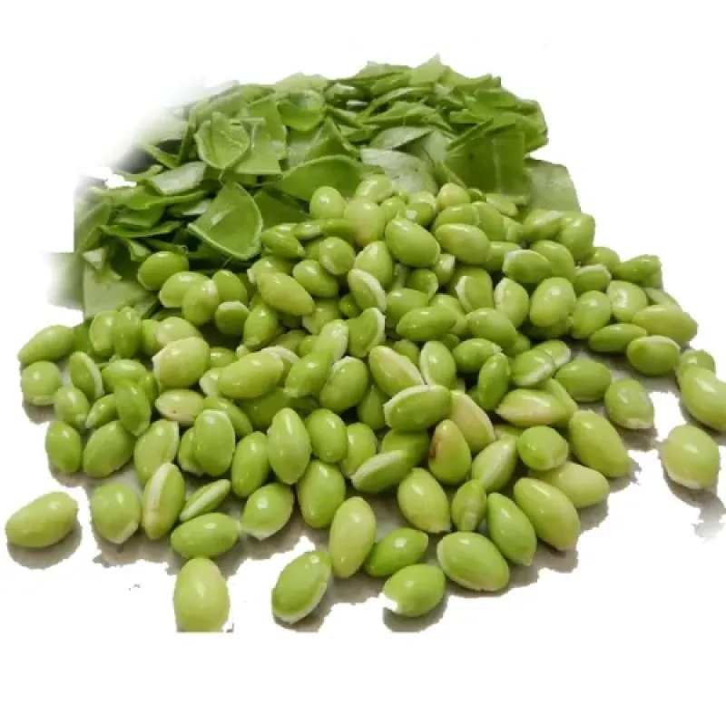 Lima Beans (Papdi Lilva)