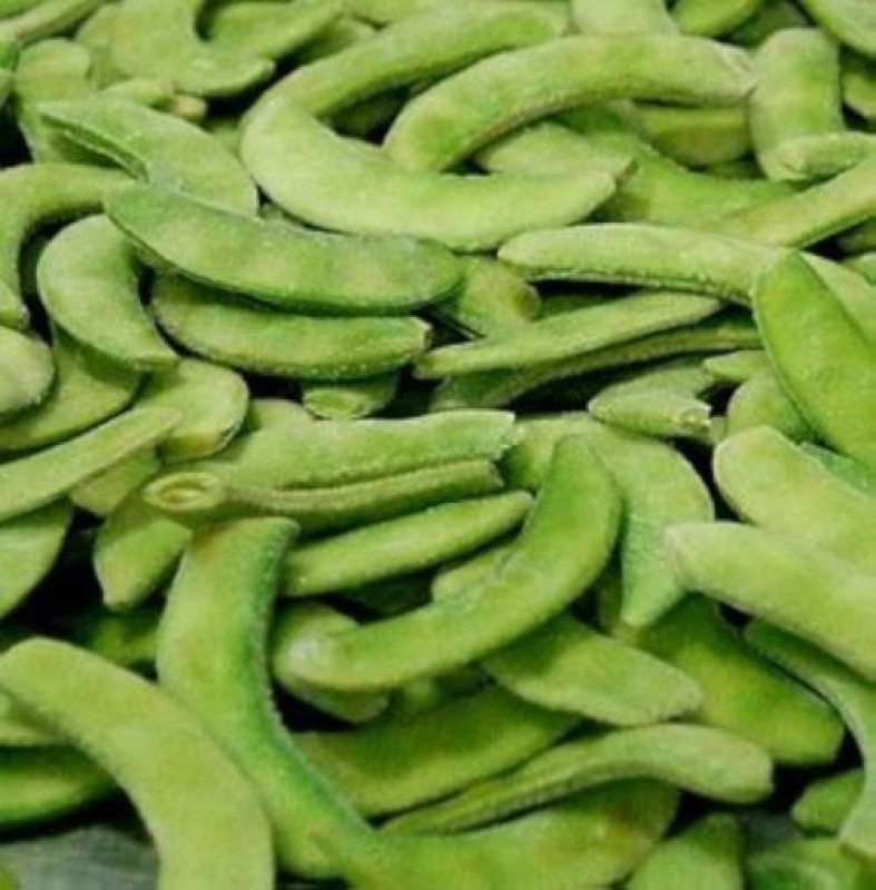Surti Papdi
