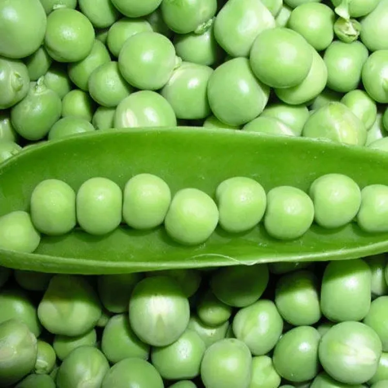 Green Peas (Vatana)