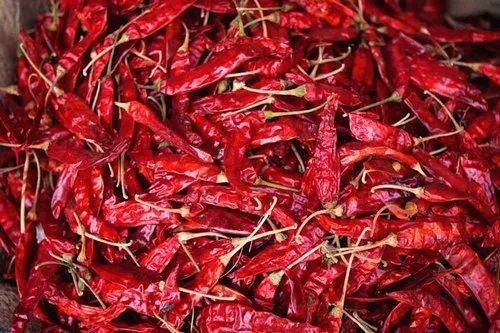 Arumugam Red Chilli