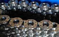 Alloy Steel Flanges - Dev Metal & Engineering Industries