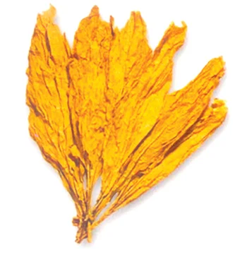 fcv tobacco FCV Tobacco (SLS) Andhra Crop at $2.5 / Kilogram in Rajkot India - Best  Wholesale Price in Market