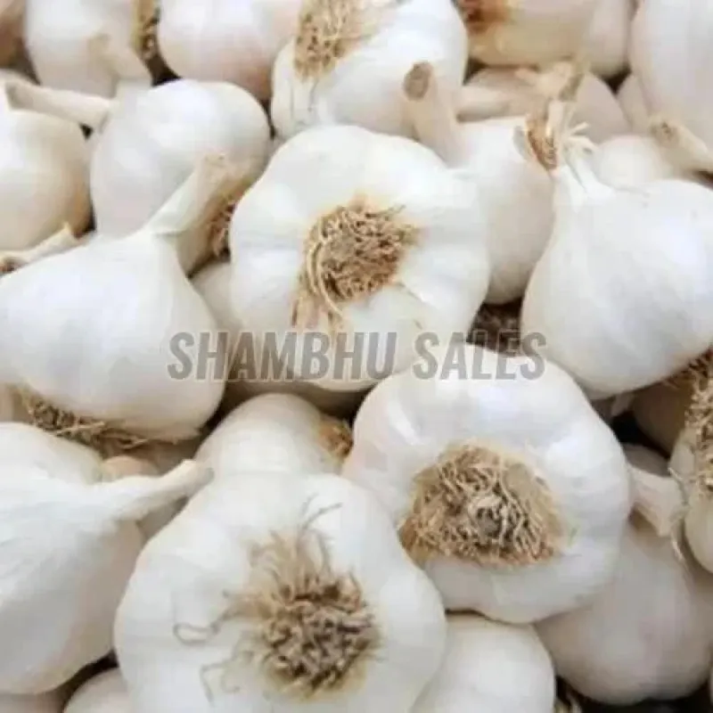 Fresh Raw Garlic