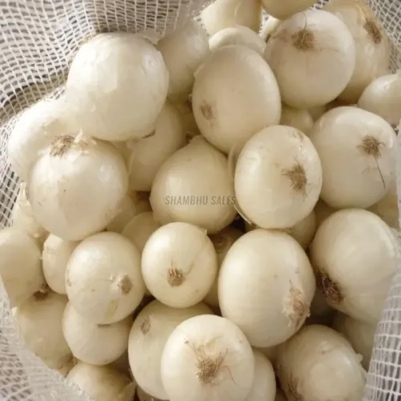 Fresh Vegetables