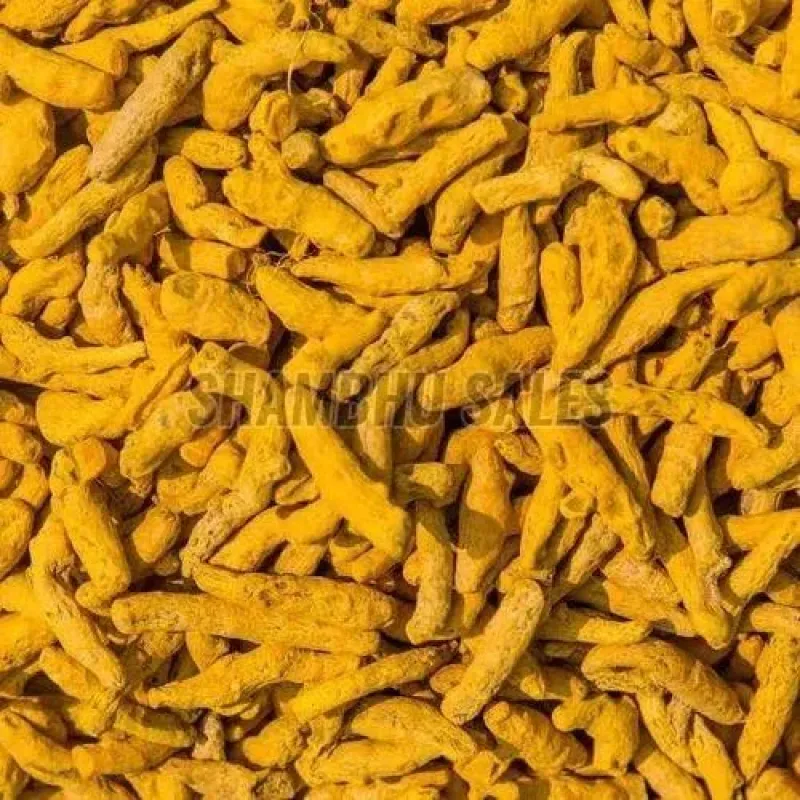 Turmeric Finger