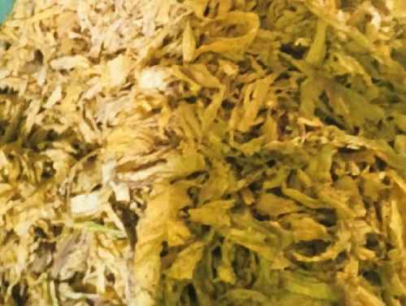 Tobacco Strips