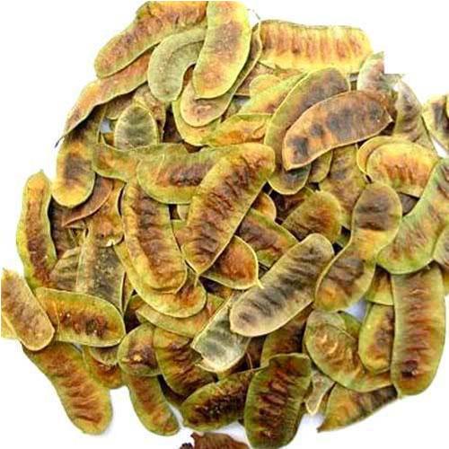 Senna Pods
