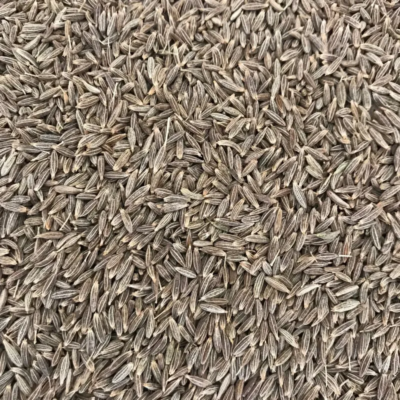 Cumin Seeds