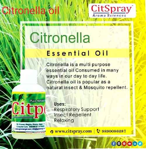 Citronella Oil