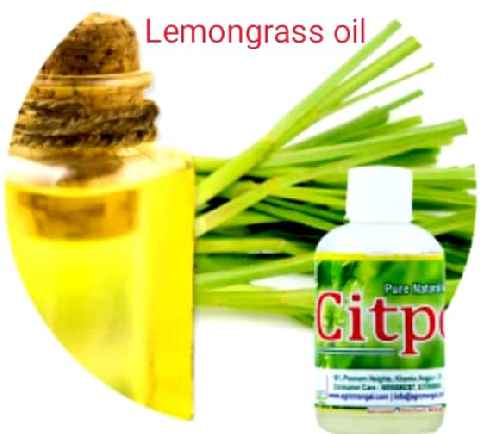 Lemongrass Oil