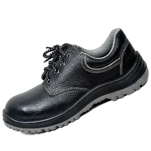 Bold Shoes