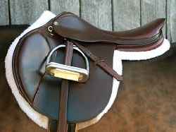 JUMPING SADDLE