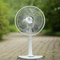 Electric Fans